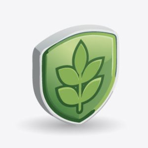 Інші продукти