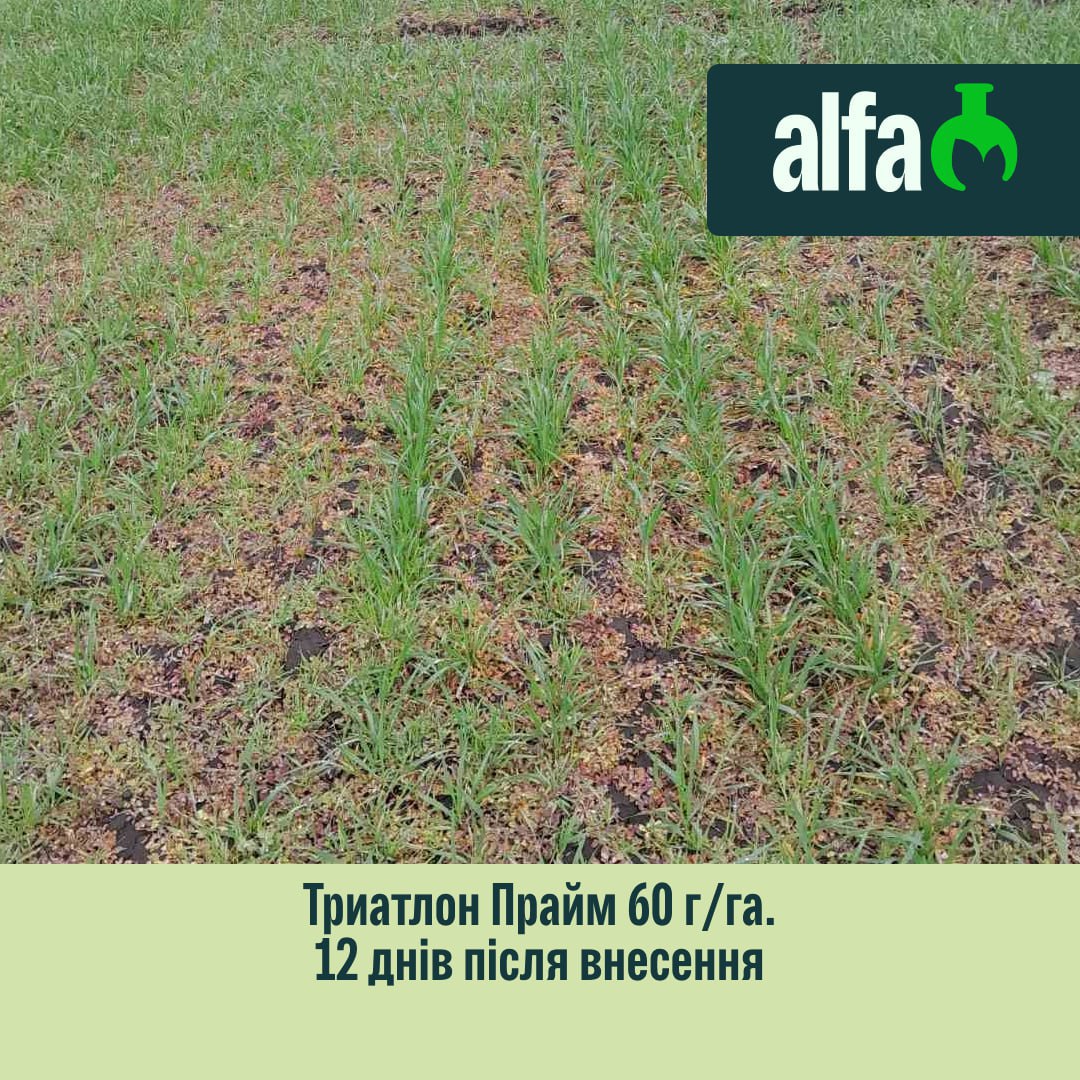 photo_2026-01-23_10-54-10