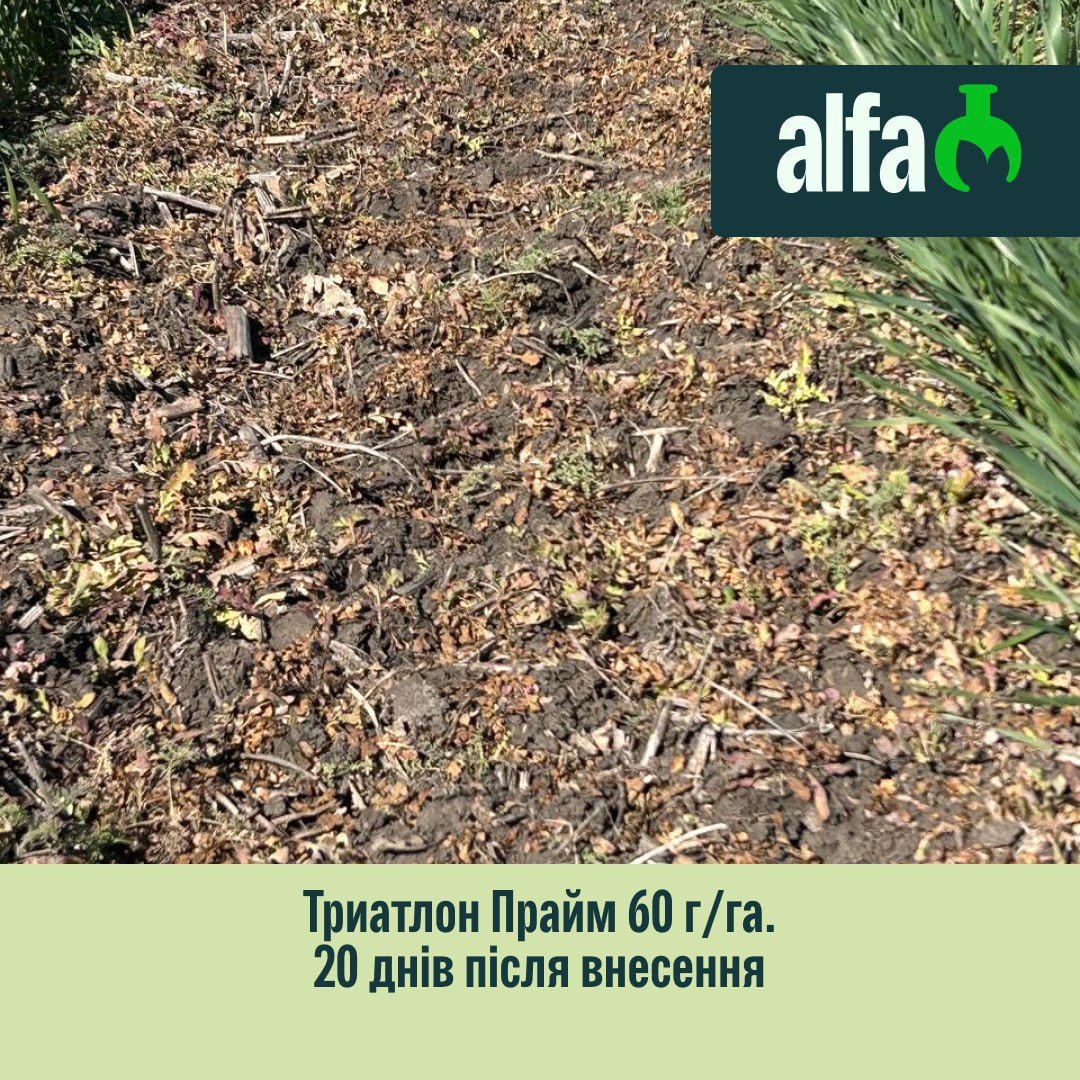 photo_2026-01-23_10-54-14