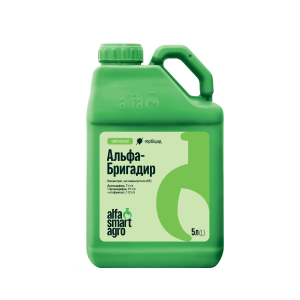 Альфа Бригадир