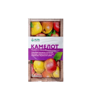 Камелот