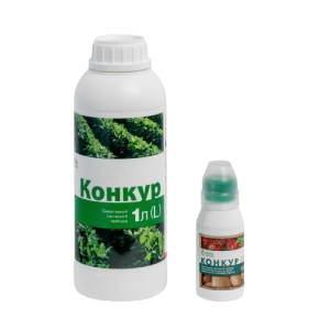 Конкур