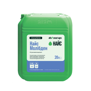 Найс Молібден