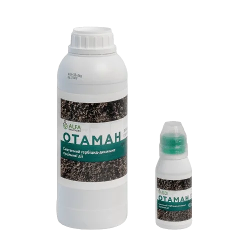 otaman