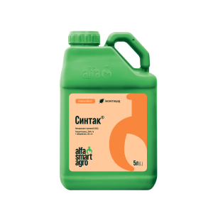 Синтак