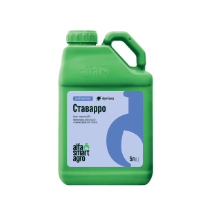 Ставарро