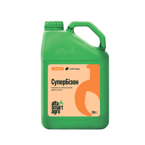 СуперБізон