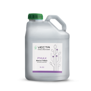 VECTA PMax