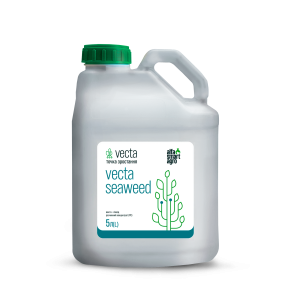 VECTA SEAWEED