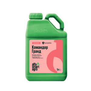 Командор Гранд