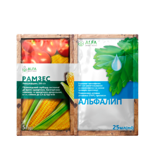 Рамзес + Альфалип